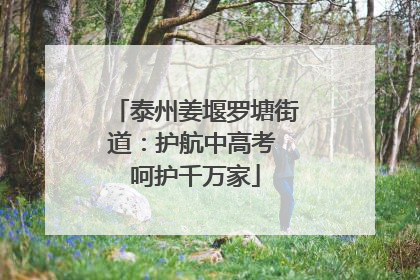 泰州姜堰罗塘街道：护航中高考 呵护千万家