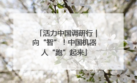 活力中国调研行｜向“智”！中国机器人“跑”起来