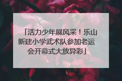 活力少年展风采！乐山新建小学武术队参加老运会开幕式大放异彩