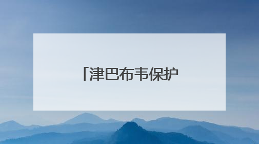 津巴布韦保护区“象满为患”，当局称将扑杀供居民食用