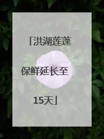 洪湖莲蓬保鲜延长至15天