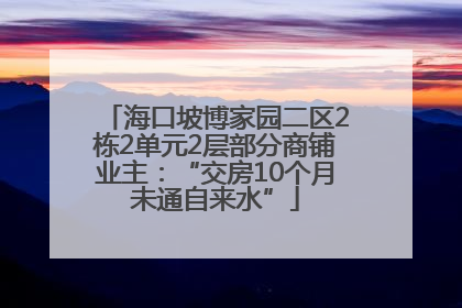海口坡博家园二区2栋2单元2层部分商铺业主：“交房10个月未通自来水”