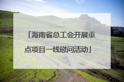 海南省总工会开展重点项目一线慰问活动