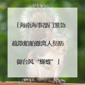 海南海事部门紧急疏散船舶撤离人员防御台风“蝴蝶”