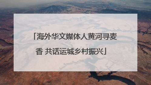 海外华文媒体人黄河寻麦香 共话运城乡村振兴