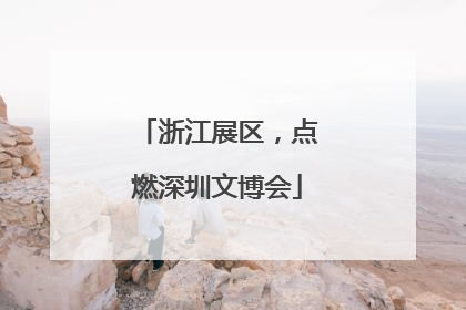 浙江展区，点燃深圳文博会
