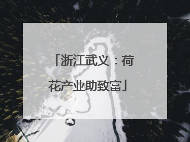 浙江武义：荷花产业助致富