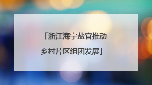 浙江海宁盐官推动乡村片区组团发展