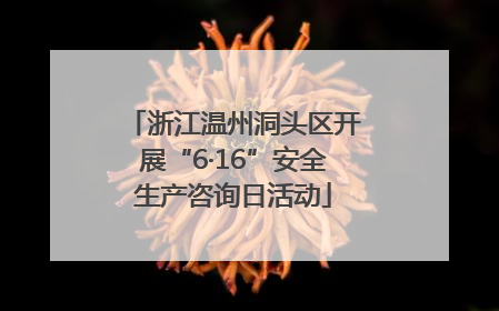 浙江温州洞头区开展“6·16”安全生产咨询日活动