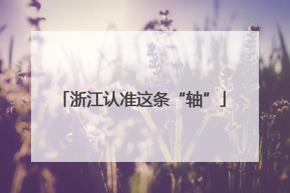 浙江认准这条“轴”