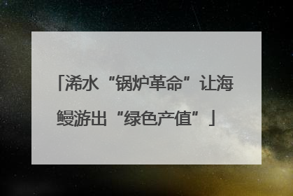 浠水“锅炉革命”让海鳗游出“绿色产值”
