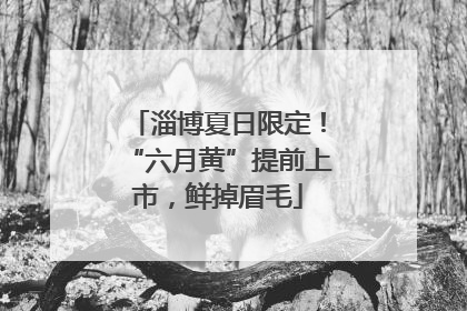 淄博夏日限定！“六月黄”提前上市，鲜掉眉毛