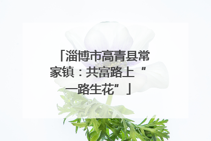淄博市高青县常家镇：共富路上“一路生花”