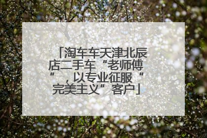淘车车天津北辰店二手车“老师傅”，以专业征服“完美主义”客户