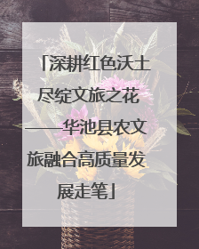 深耕红色沃土 尽绽文旅之花——华池县农文旅融合高质量发展走笔