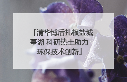 清华博后扎根盐城亭湖 科研热土助力环保技术创新