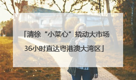 清徐“小菜心”撬动大市场 36小时直达粤港澳大湾区