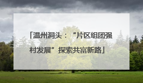温州洞头：“片区组团强村发展”探索共富新路