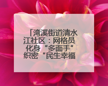 湾溪街道清水江社区：网格员化身“多面手”织密“民生幸福网”