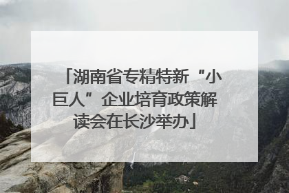 湖南省专精特新“小巨人”企业培育政策解读会在长沙举办