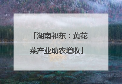 湖南祁东：黄花菜产业助农增收