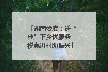 湖南娄底：送“典”下乡优服务 税惠进村助振兴