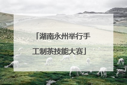 湖南永州举行手工制茶技能大赛