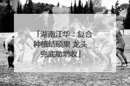湖南江华：复合种植结硕果 龙头兜底助增收