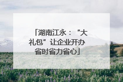 湖南江永：“大礼包”让企业开办省时省力省心