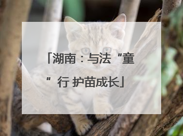湖南：与法“童”行 护苗成长
