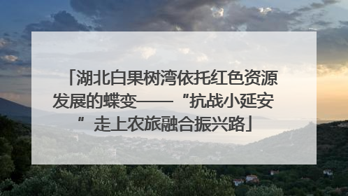 湖北白果树湾依托红色资源发展的蝶变——“抗战小延安”走上农旅融合振兴路