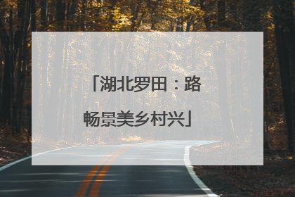 湖北罗田：路畅景美乡村兴