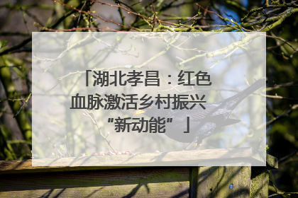 湖北孝昌：红色血脉激活乡村振兴“新动能”