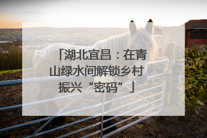 湖北宜昌：在青山绿水间解锁乡村振兴“密码”