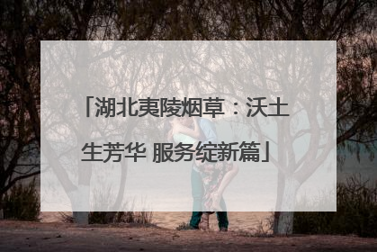 湖北夷陵烟草：沃土生芳华 服务绽新篇