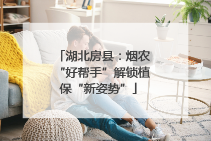 湖北房县：烟农“好帮手”解锁植保“新姿势”