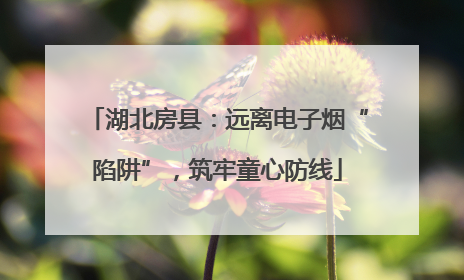湖北房县：远离电子烟“陷阱”，筑牢童心防线