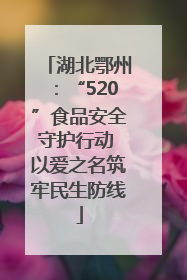 湖北鄂州：“520”食品安全守护行动 以爱之名筑牢民生防线