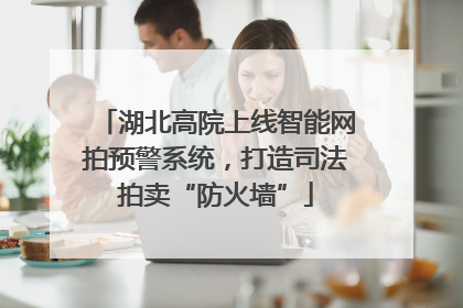 湖北高院上线智能网拍预警系统，打造司法拍卖“防火墙”