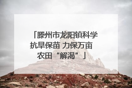 滕州市龙阳镇科学抗旱保苗 力保万亩农田“解渴”
