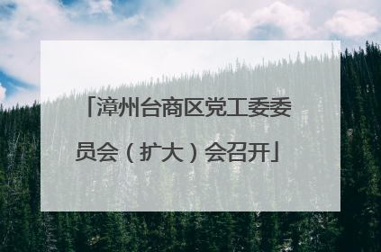 漳州台商区党工委委员会（扩大）会召开