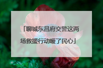聊城东昌府交警这两场救援行动暖了民心