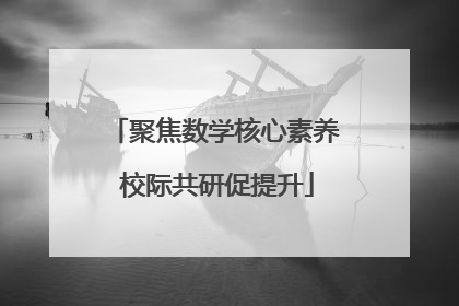 聚焦数学核心素养 校际共研促提升