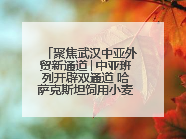 聚焦武汉中亚外贸新通道│中亚班列开辟双通道 哈萨克斯坦饲用小麦将抵鄂