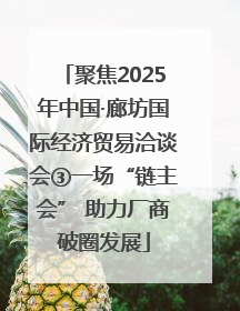 聚焦2025年中国·廊坊国际经济贸易洽谈会③一场“链主会” 助力厂商破圈发展