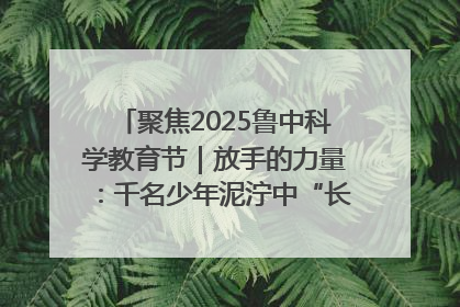 聚焦2025鲁中科学教育节｜放手的力量：千名少年泥泞中“长出勇敢翅膀”