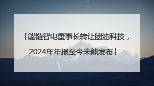 能链智电董事长转让团油科技，2024年年报至今未能发布