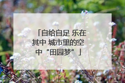 自给自足 乐在其中 城市里的空中“田园梦”