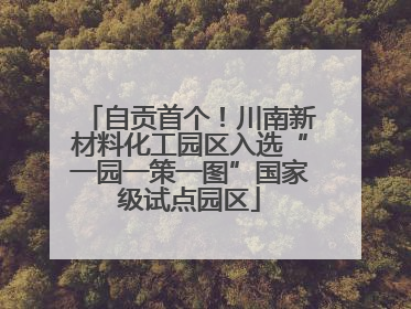 自贡首个！川南新材料化工园区入选“一园一策一图”国家级试点园区