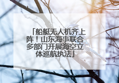船艇无人机齐上阵！山东海事联合多部门开展海空立体巡航执法